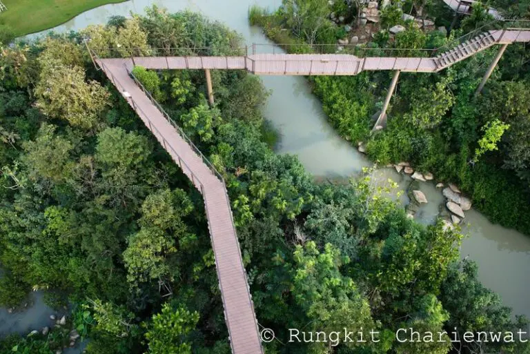 Forest Station bangkok