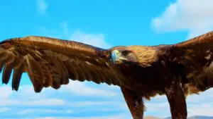 asien-special-tours-mongolei