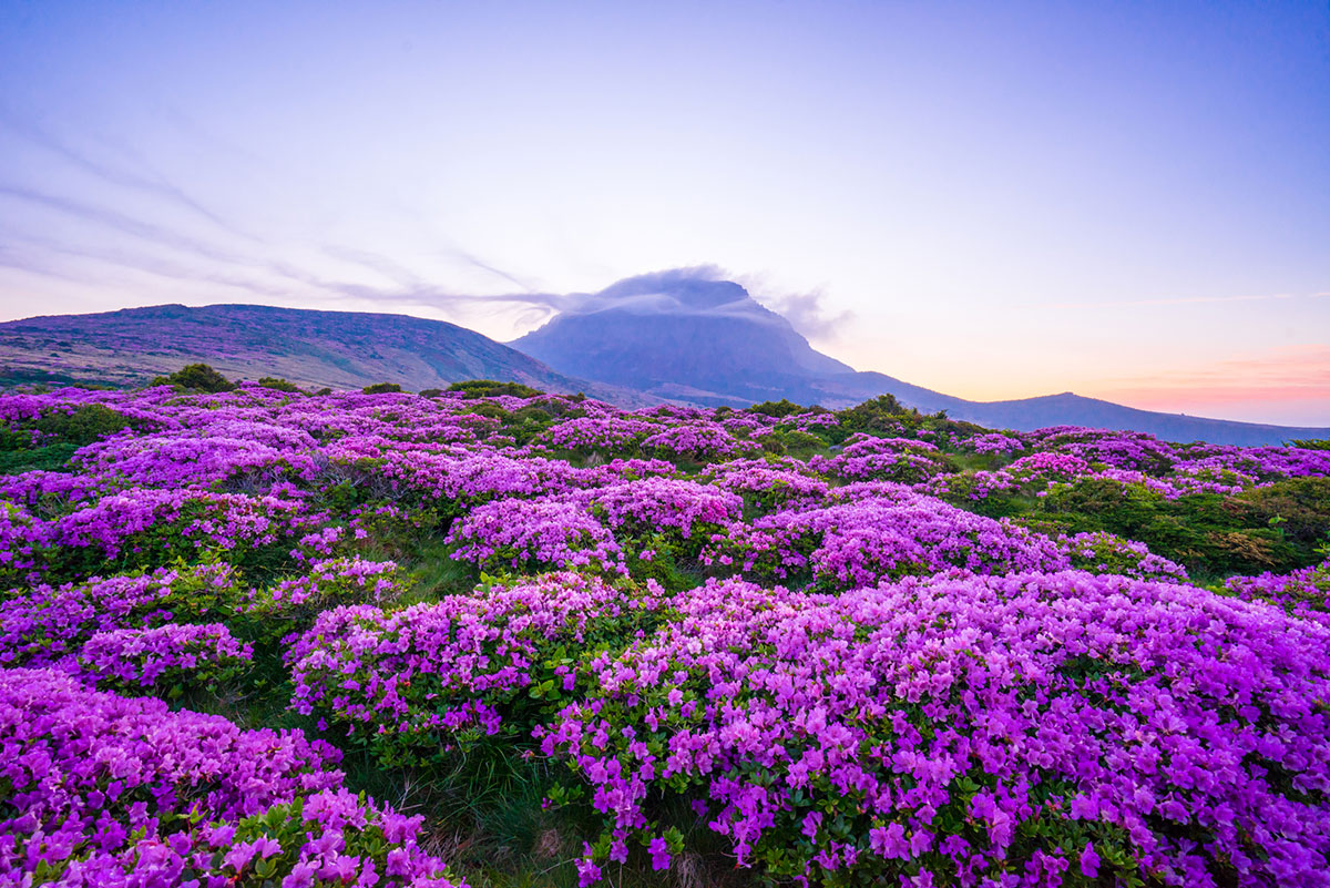 Berg-Hallasan-Jeju