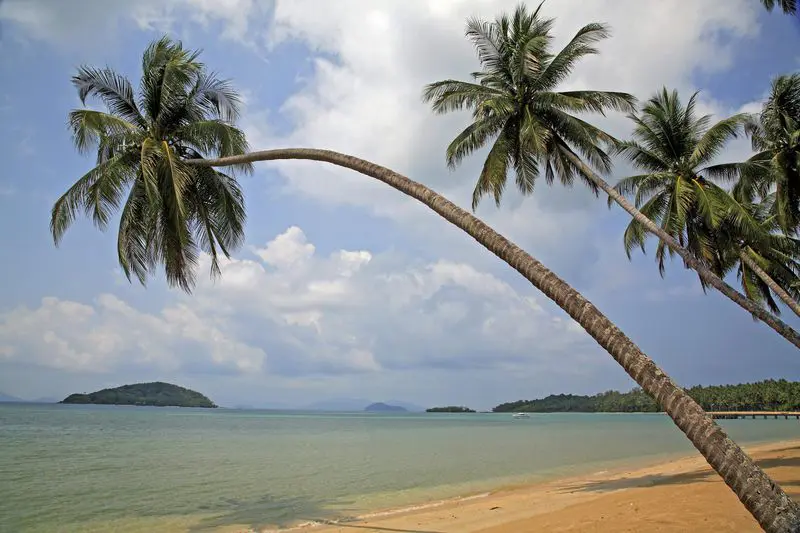 KO MAK