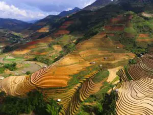 Vietnam Fairaway1
