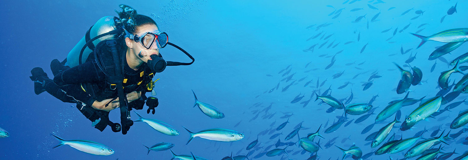 Wa-Ale-activities-diving-01