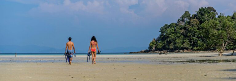 Wa-Ale-activities-snorkel-mangrove-beach-01