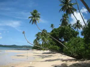 palmenstrand-koh-mak-thailand