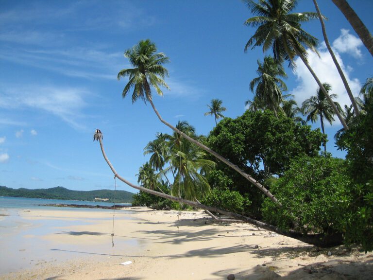 palmenstrand-koh-mak-thailand
