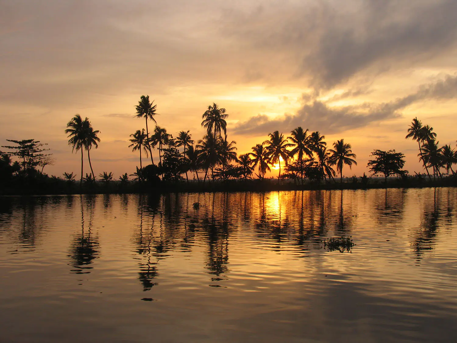 Canal-during-sunset-in-Kerala-India