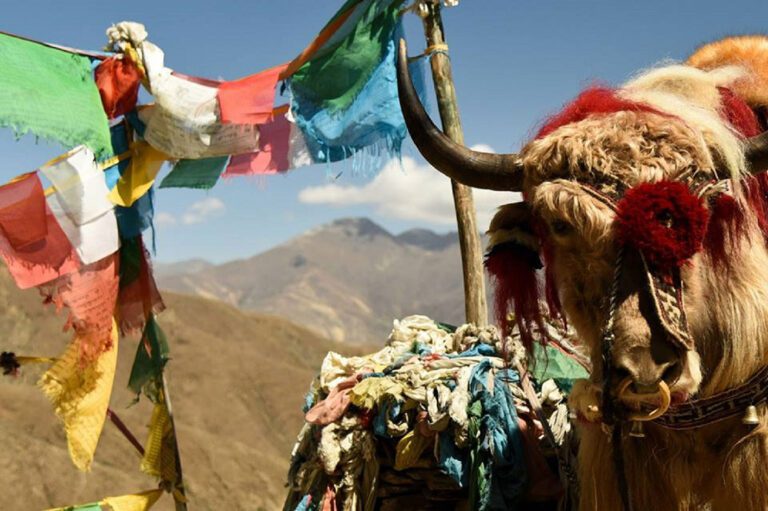 China-Tours-Beitrag-Titelbild