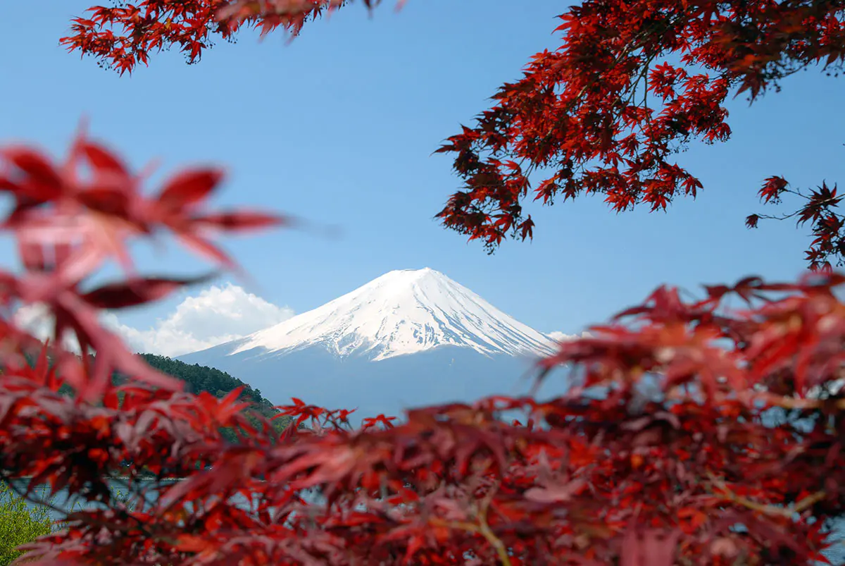 Mountain-Fuji