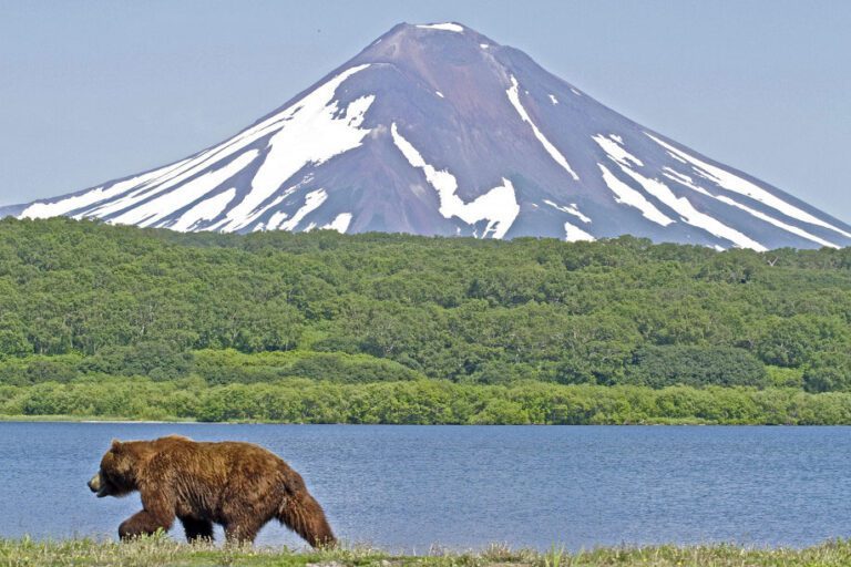 Titelbild-baer-kurilensee