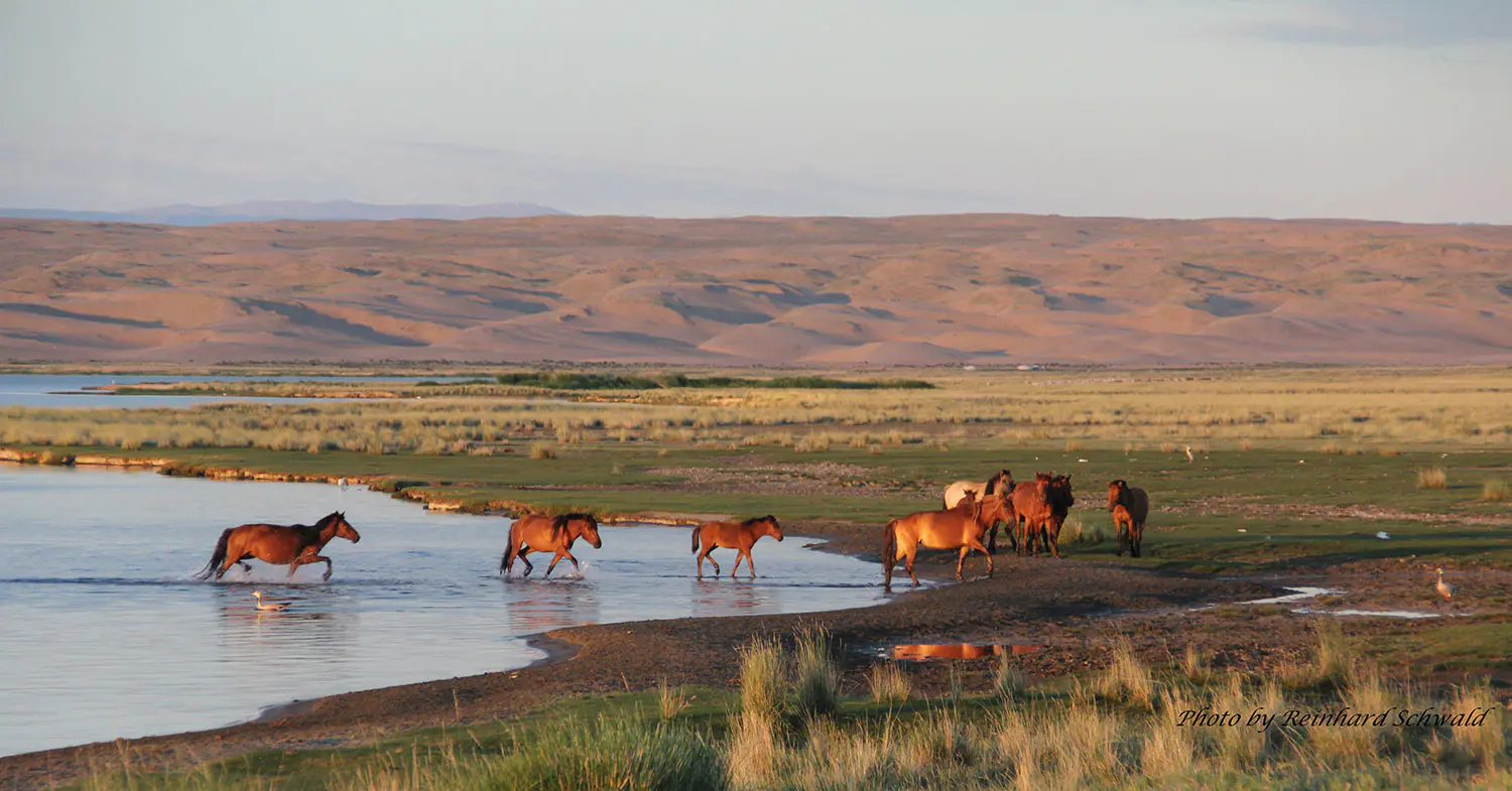 mongolei