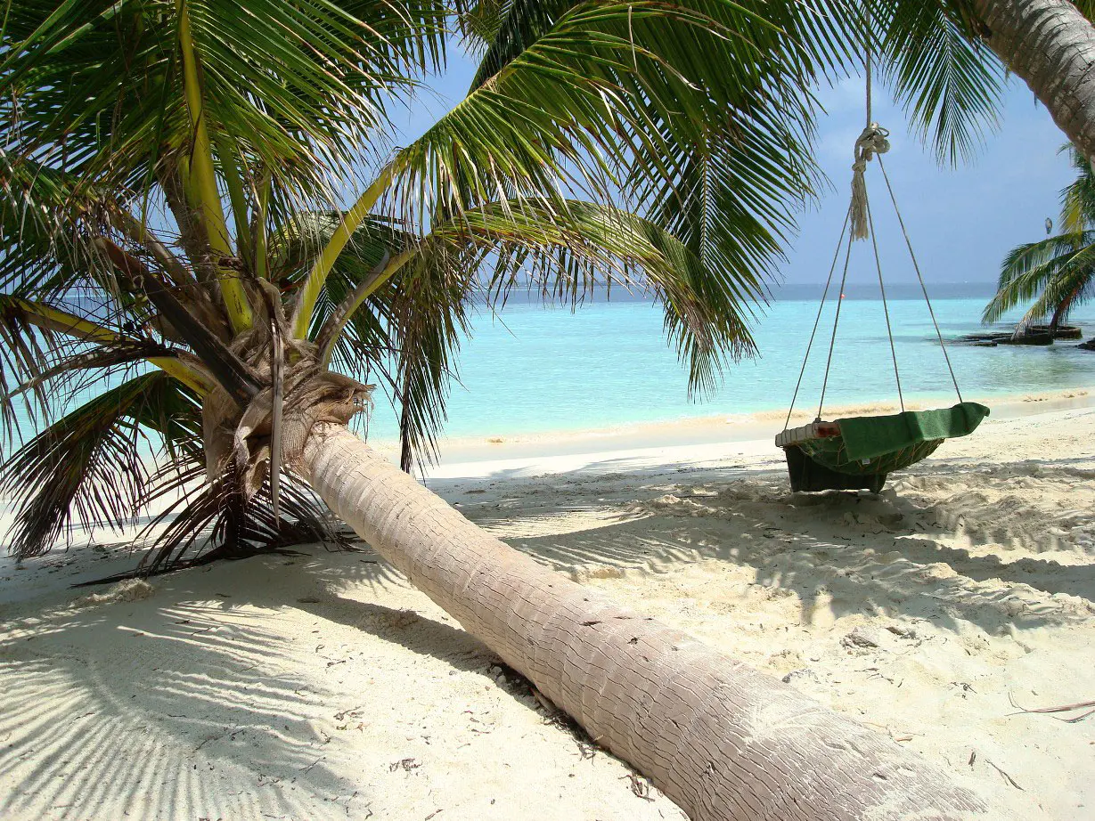 palmen-haengeschaukel-sandstrand-insel-lakkadivensee-indischer-ozean-malediven