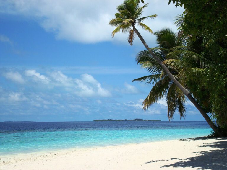 palmen-sandstrand-insel-malediven