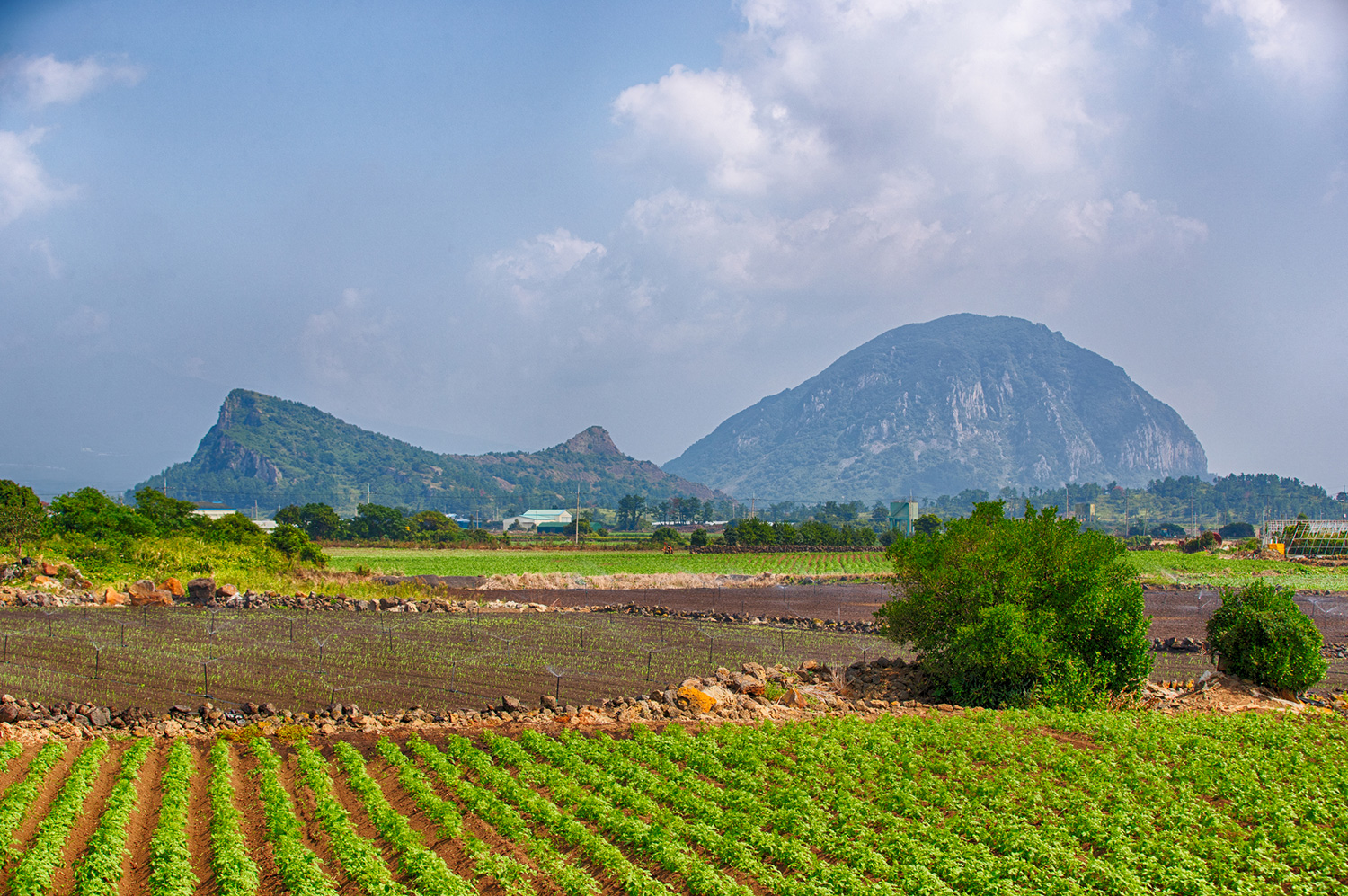 Dansan-Mountain-Bagumji-Oreum