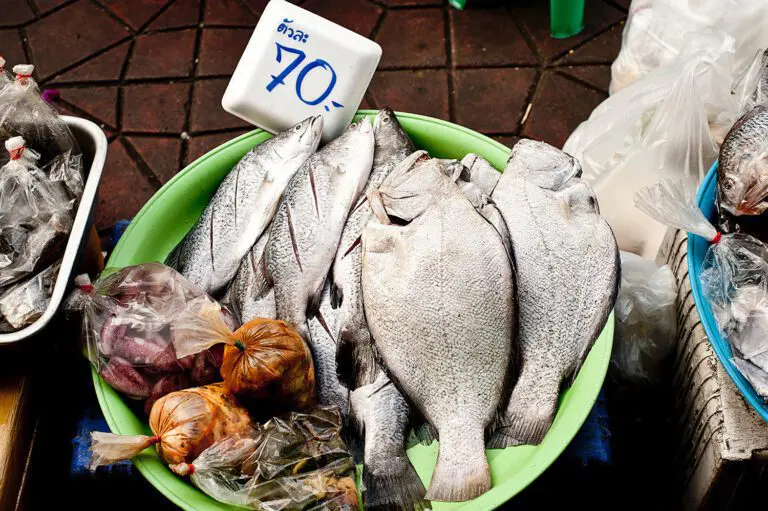 thailand-fisch