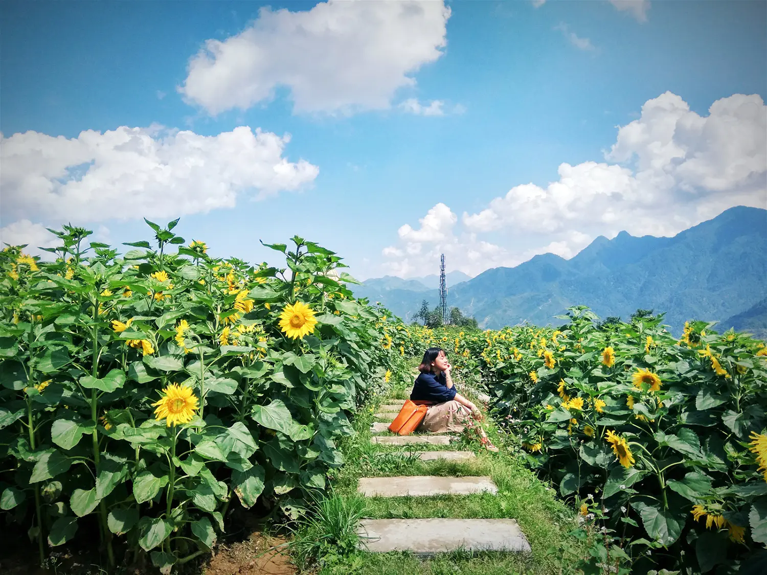 asiatica-travel-3