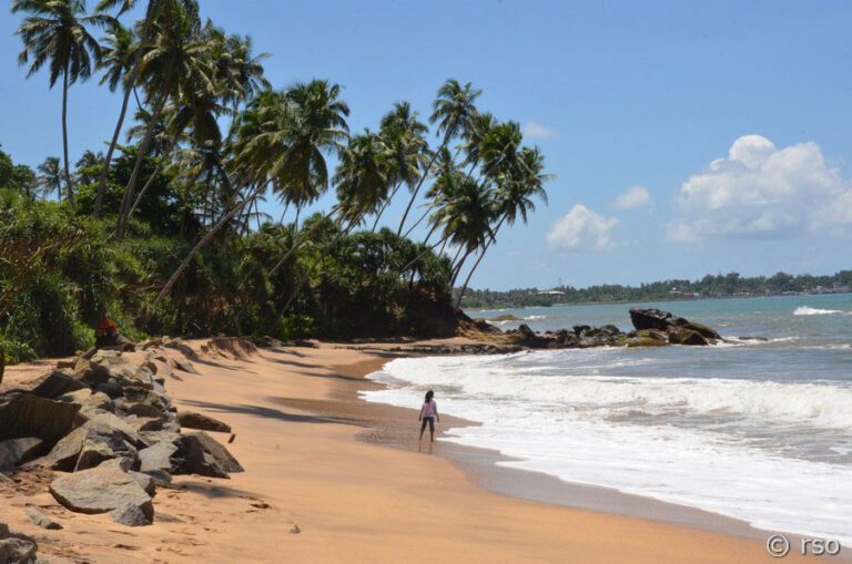 titelbild-sri-lanka-discover-01