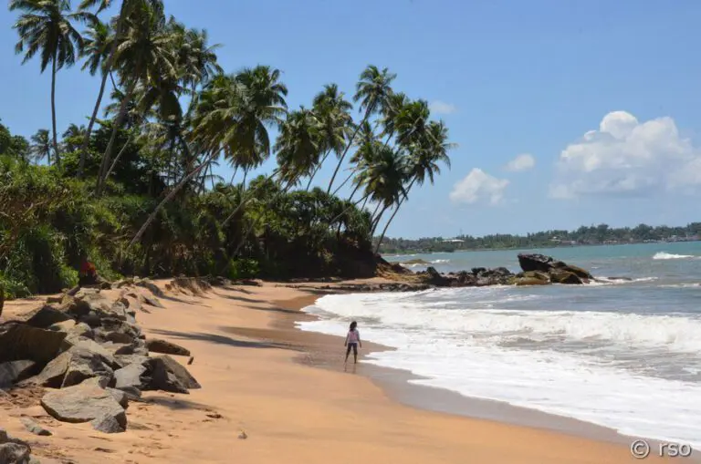 titelbild-sri-lanka-discover-01