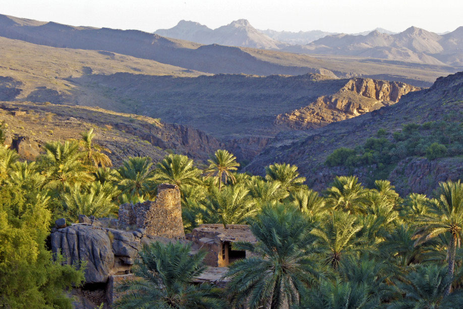 Oman-Oase