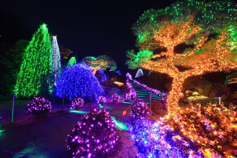 The-Garden-of-Morning-Calm Copyright-Korea-Tourism-Organization