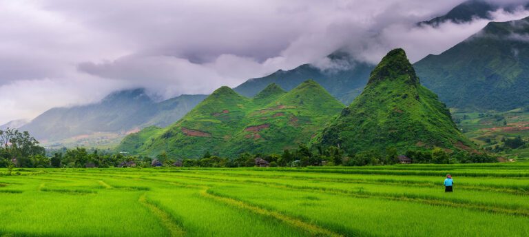 Titelbild-Reisterrasen-in-Sapa-Vietnam