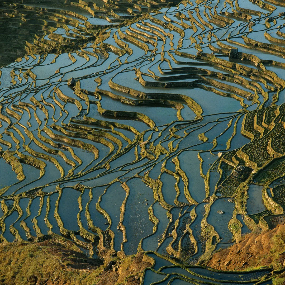 Yunnan