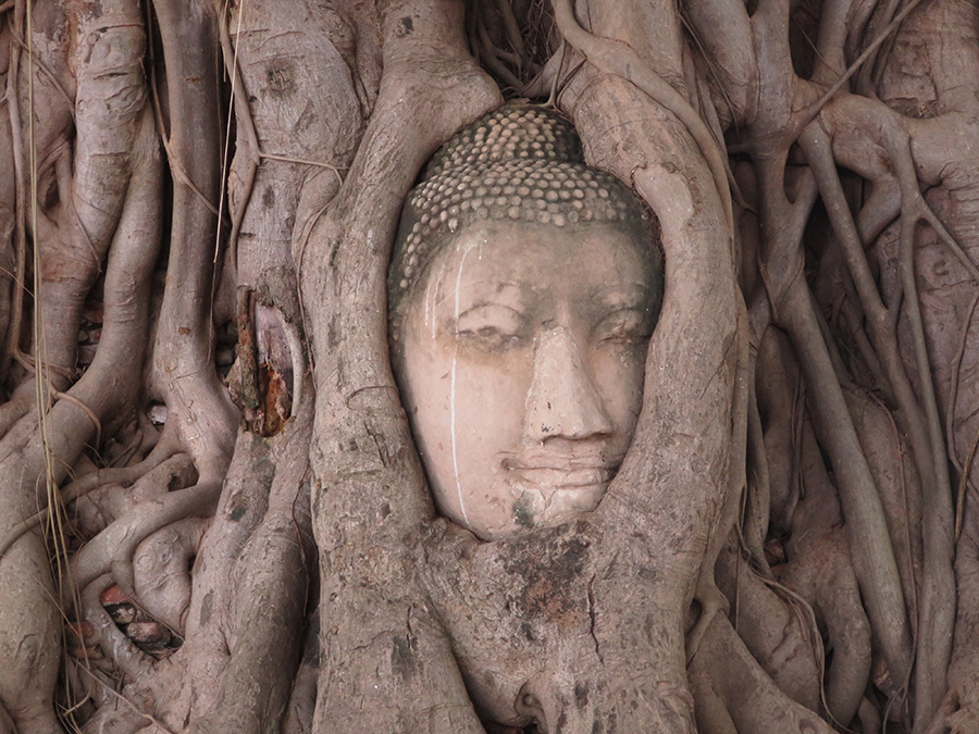 sommer-fernreisen-thailand-reisen