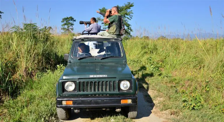 7 sfr-safaris-indien-01