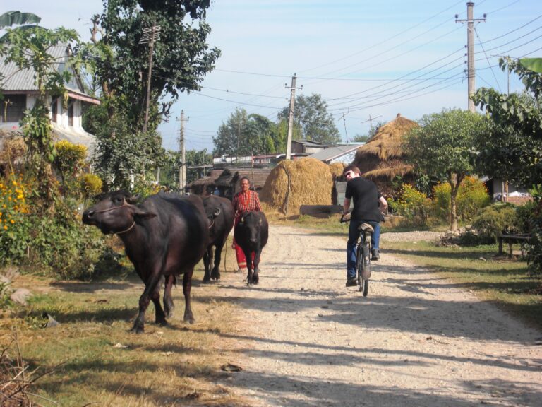 7chitwan-tharu-radtour