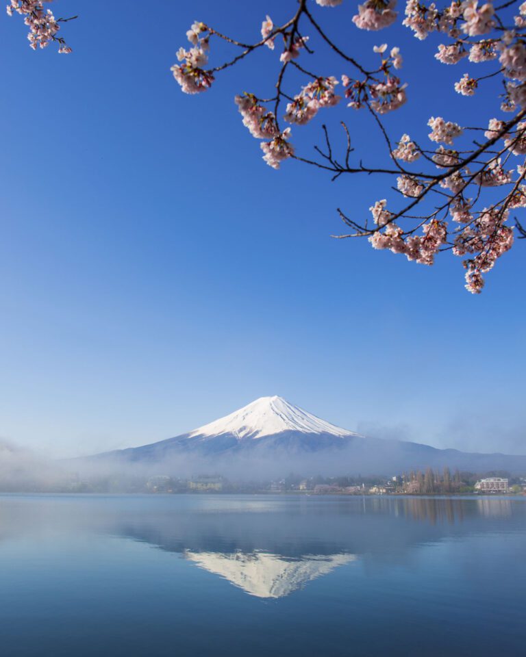 10.1iStock-25 11 2014-1