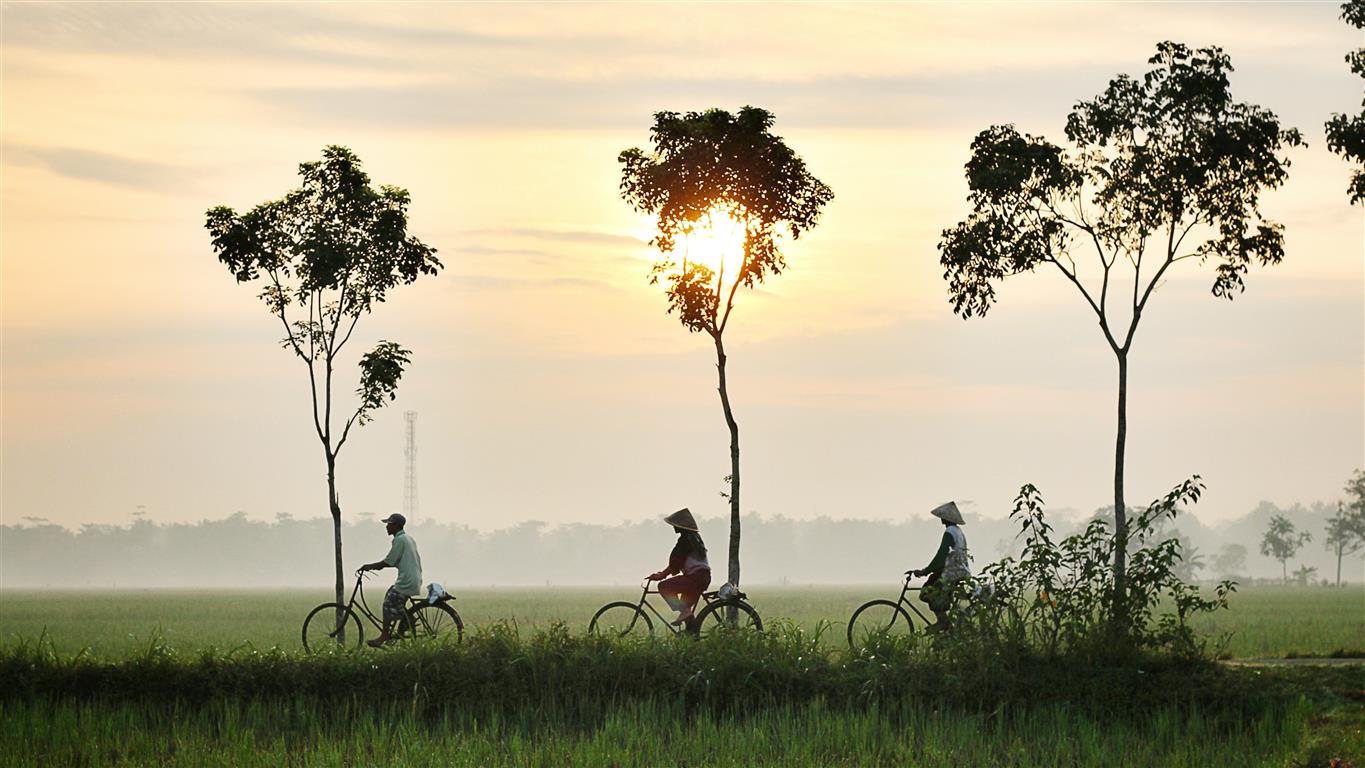 2 fahrradtour-indonesien