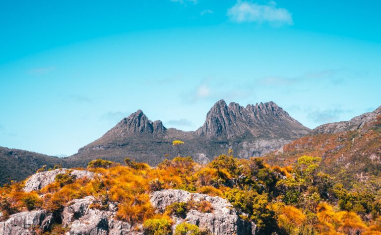 5 Tasmanien - Cradle Mountain - Asien Special Tours