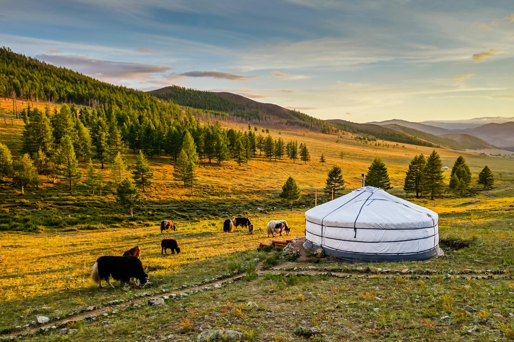 mongolei reise-jurtencamp-0